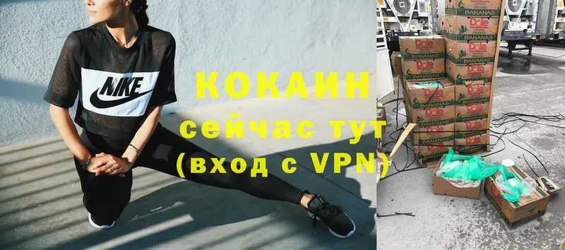 купить наркотики сайты  Ярославль  Cocaine VHQ 