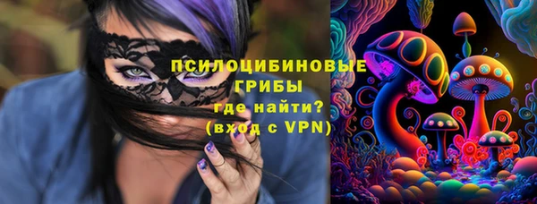 сатива Липки