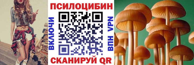 Галлюциногенные грибы Psilocybine cubensis  Ярославль 