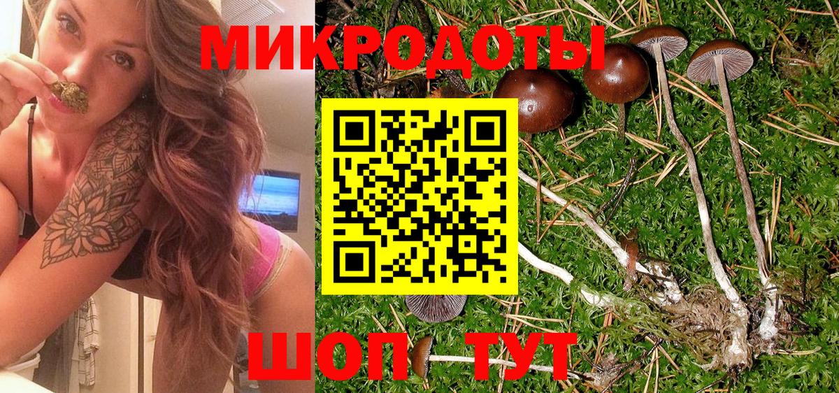 Галлюциногенные грибы Psilocybe  Вход с VPN  Ярославль 