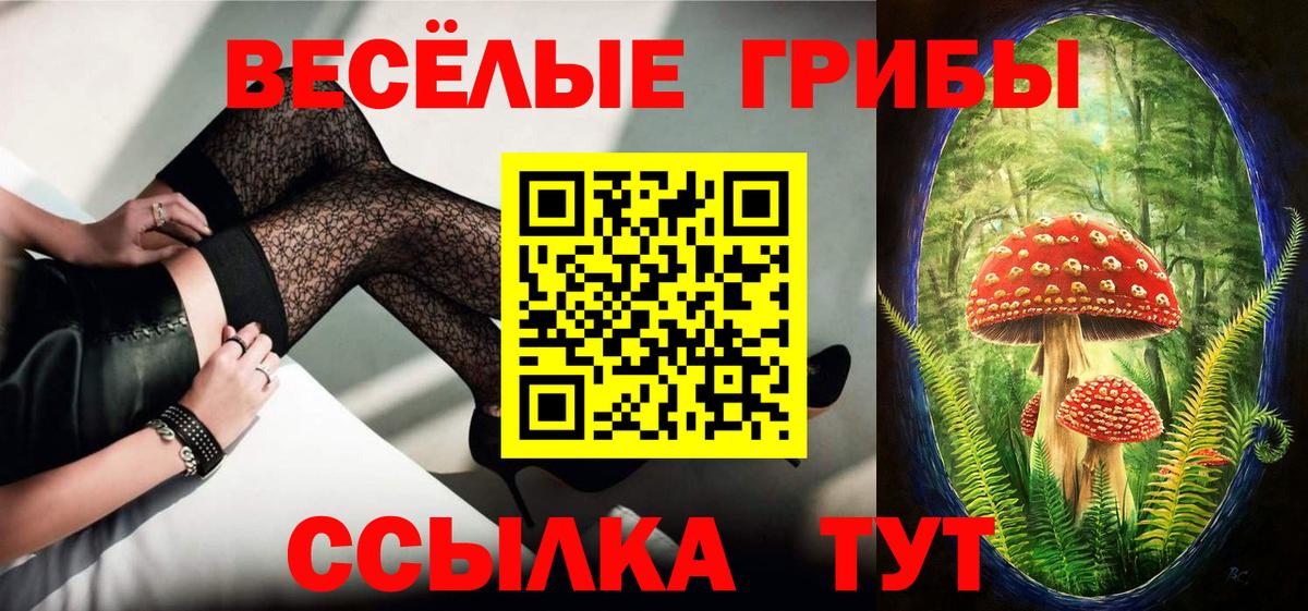Псилоцибиновые грибы Magic Shrooms Ярославль