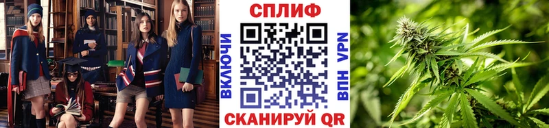 Каннабис SATIVA & INDICA omg ссылка Ярославль